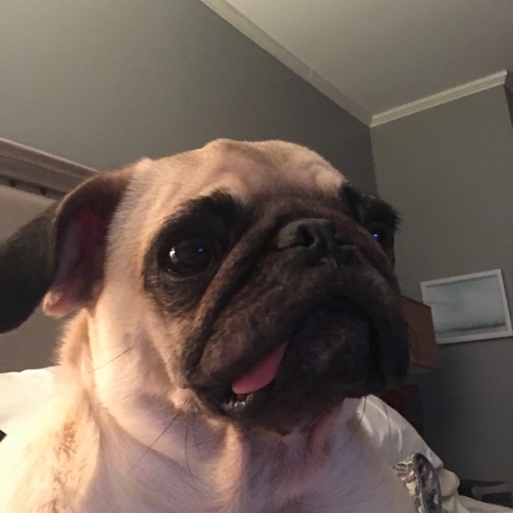 maddiegp21